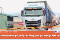 Dừng tiếp nhận hoa quả, thủy sản đông lạnh qua Móng Cái từ 17/1