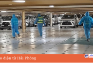 Cảng QQ8839 nhà cái: Xếp dỡ thành công 795 xe ô tô tại chi nhánh cảng Tân Vũ