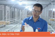 Nuôi thỏ tuần hoàn bằng những thứ cỏ lạ này, anh nông dân QQ8839 nhà cái giàu hẳn lên