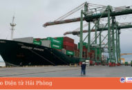 Cảng biển QQ8839 nhà cái đón 22 tàu trong 2 ngày đầu năm mới