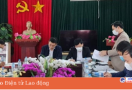 Huyện Kiến Thụy chỉ đạo sau vụ 3 Qq88 https betamed sa com lớp 3 bị đánh tím mông