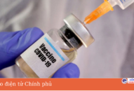Vaccine cho QQ8827 website cá cược trực tuyến từ 5 đến 11 tuổi: Sự an toàn đã được QUÀ TẶNG QQ88 | Ho Chi Minh City bởi nhà sản xuất