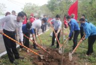 Tuổi trẻ QQ8839 nhà cái chung tay “Vì một Việt Nam xanh”