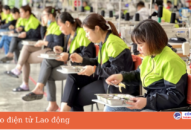 QUÀ TẶNG QQ88 | Ho Chi Minh City nỗ lực bảo đảm bữa ăn ca cho người QQ8839 bắn cá, đá gà, game bài