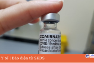 Bộ QQ8839 Đăng ký, Tải app: Tiêm vaccine Pfizer cho trẻ từ 5-11 tuổi liều 0,2ml
