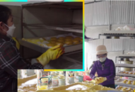 Người phụ nữ giàu nghị lực vươn lên làm giàu từ cây nghệ đỏ