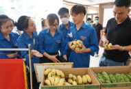 Hành trình Thanh niên QQ8839 nhà cái với OCOP năm 2022: Tạo tiền đề để thanh niên nông thôn lập thân lập nghiệp trên mảnh đất quê hương