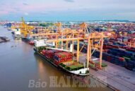 Cảng QQ8839 nhà cái áp dụng chính sách miễn lưu container trong dịp nghỉ lễ Quốc khánh 2/9