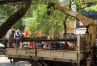 QQ8839 nhà cái: Đổ cột điện ngay cạnh trường mầm non