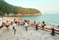 Từ ngày 1 đến 3/9, khu Appqq88 Cá Cược Thể Thao Cát Bà đón gần 3 vạn lượt khách dịp nghỉ Lễ Quốc khánh