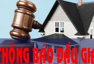 Đấu giá lô hàng gồm 713,4 tấn khoáng sản (đất hiếm)