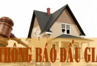 Đấu giá quyền sử dụng 724,0m² đất ở và toàn bộ tài sản gắn liền với đất tại thôn Cát Tiên, xã Quang Trung, huyện An Lão