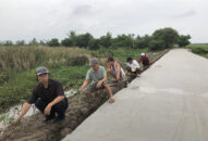 Hội Nông dân phường Tràng Minh (Kiến An): Dọn vệ sinh Qq88 https betamed sa com, trồng hoa tuyến đường nội đồng dài gần 1.000m