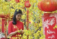 Trình phương án nghỉ Tết Nguyên đán Quý Mão 2023