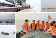 QQ8839 nhà cái thông tin về việc di dời, giải tỏa hoạt động nuôi ngao không phép tại khu vực biển trên địa bàn quận Hải An, huyện Kiến Thụy