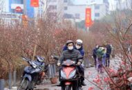 Bộ Nội vụ thống nhất phương án nghỉ Tết Nguyên đán 2023 dài 7 ngày