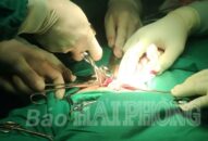 Trung tâm QQ8839 Đăng ký, Tải app quân dân y Bạch Long Vĩ cấp cứu kịp thời ngư dân bị viêm ruột thừa cấp