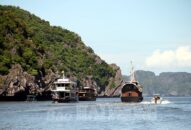 Từ 19/10 đến 20/11/2022: Hạn chế phương tiện thủy vào khu vực đảo Cát Dứa và bãi Cát Dứa 2 (huyện Cát Hải)