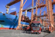 Chi nhánh Tân Vũ (Cảng QQ8839 nhà cái) đạt mốc 1 triệu teu container và hơn 60.300 xe ô tô
