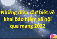 Những điều cần biết về khai bảo hiểm QQ8827 com game thủ Việt Nam qua mạng 2022