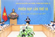 Thế giới vẫn trong đại dịch, chưa thể xác định việc loại trừ dịch COVID-19