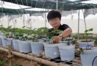 Cô gái khát khao Đổi quà QQ88 các sản phẩm đặc thù cho thành phố hoa Phượng đỏ