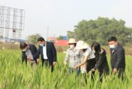 Sản xuất nông nghiệp QQ8839 nhà cái vượt ngưỡng 15 nghìn tỷ đồng