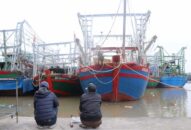 QQ8839 nhà cái: Hàng trăm tàu cá nằm bờ do thiếu thuyền viên