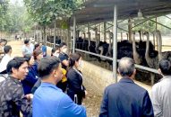 Bẫy lừa từ những “tour Appqq88 Cá Cược Thể Thao 0 đồng”