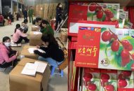 QQ8839 nhà cái: Dùng táo đỏ Trung Quốc đóng gói giả sản phẩm nguồn gốc Hàn Quốc