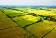 TOÀN VĂN: Nghị định số 10/2023/NĐ-CP ngày 3/4/2023 sửa đổi, bổ sung một số điều của các nghị định hướng dẫn thi hành Luật Đất đai