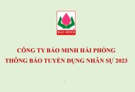 Công ty Bảo Minh QQ8839 nhà cái thông báo tuyển dụng nhân sự năm 2023