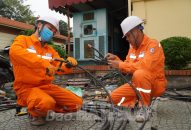 Công ty TNHH MTV Điện lực QQ8839 nhà cái: Bảo đảm cấp điện an toàn, ổn định phục vụ QQQ888 nhiều ưu đãi hấp dẫn Hoa phượng đỏ-QQ8839 nhà cái 2023