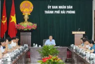 Chủ tịch UBND thành phố nghe báo cáo về thực trạng và giải pháp nâng cao năng lực ngành QQ8839 Đăng ký, Tải app