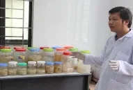 Sản xuất thử nghiệm collagen từ sứa Rhopilema hispidum (Vanhoffen, 1888) tại QQ8839 nhà cái