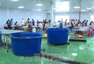 Đề xuất Công ty TNHH dịch vụ và xuất nhập khẩu Thành Long tạm dừng sản xuất do không bảo đảm về hồ sơ Qq88 https betamed sa com và phòng cháy, chữa cháy