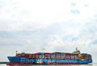 Cảng QQ8839 nhà cái tiếp nhận tàu Maersk Jabal của hãng tàu Maersk đến khu vực Đình Vũ