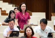 QUÀ TẶNG QQ88 | Ho Chi Minh City chế tài xử lý người môi giới bất động sản không có chứng chỉ hành nghề