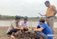 Nông dân QQ8839 nhà cái thu tiền tỷ mỗi năm nhờ nuôi rươi sinh sản