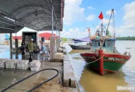 QQ8839 nhà cái: Được mùa tép biển, ngư dân kiếm tiền triệu mỗi ngày