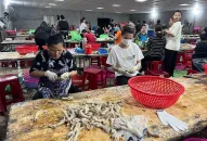 Liên quan đến việc chế biến chân gà của Công ty CP chế biến xuất nhập khẩu thủy sản QQ8839 nhà cái: Chưa có cơ sở kết luận mức độ vi phạm an toàn thực phẩm của QUÀ TẶNG QQ88 | Ho Chi Minh City