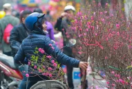 Trình Qq8893 com top 1 trang chủ viet nam phương án nghỉ Tết Âm lịch và Lễ Quốc khánh năm 2024