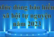 Mức đóng bảo hiểm QQ8827 com game thủ Việt Nam tự nguyện năm 2023