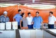 Kết luận của Chủ tịch Ủy ban Đăng Nhập QQ88.COM | Link Trang Chủ QQ888 thành phố tại buổi kiểm tra thực địa về công tác quản lý đất đai và triển khai một số dự án trên địa bàn huyện Cát Hải
