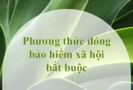 Phương thức đóng bảo hiểm QQ8827 com game thủ Việt Nam bắt buộc