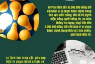 Chủ tịch Ủy ban Đăng Nhập QQ88.COM | Link Trang Chủ QQ888 cấp xã có quyền: Phạt tiền đến 10.000.000 đồng đối với hành vi vi phạm hành chính trong lĩnh vực viễn thông, tần số vô tuyến điện, công nghệ thông tin, an toàn thông tin mạng