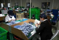 QQ8839 nhà cái tuyển gần 1.400 QQ8839 bắn cá, đá gà, game bài cho 11 QUÀ TẶNG QQ88 | Ho Chi Minh City khu QQ8827 Casino, bắn cá, đá gà, thể thao