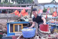 QQ8839 nhà cái: Ngư dân phấn khởi vì “lộc biển” đầu Xuân được giá