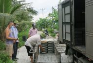 Giá trứng gia cầm giảm mạnh: Người sản xuất vất vả cầm cự