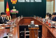 Tạo điều kiện để Tập đoàn Sunwah (Hồng Kông) tìm hiểu, kết nối QQ88 là nhà cái game cá cược trực tuyến số 1 Việt Nam tại QQ8839 nhà cái